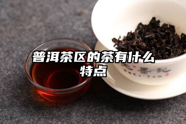 普洱茶区的茶有什么特点