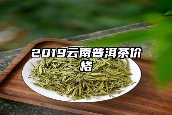 2019云南普洱茶价格