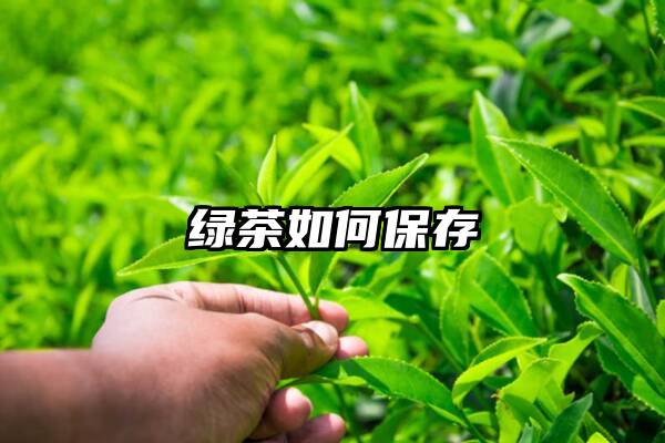 绿茶如何保存
