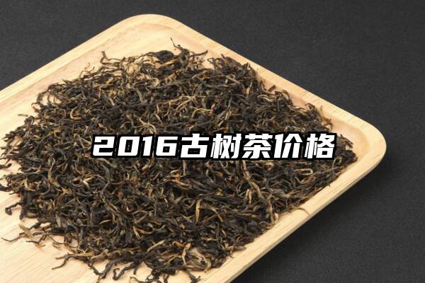 2016古树茶价格