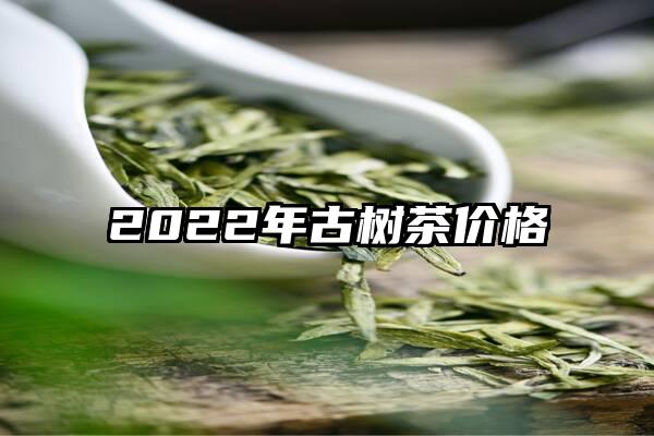 2022年古树茶价格
