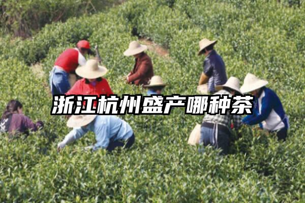 浙江杭州盛产哪种茶