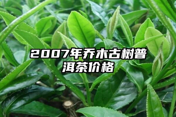 2007年乔木古树普洱茶价格