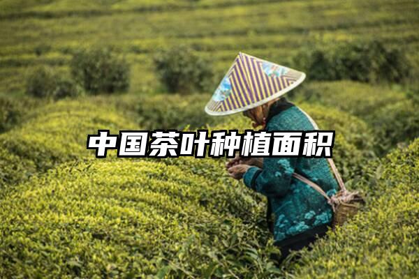 中国茶叶种植面积