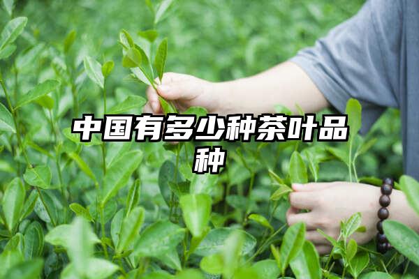 中国有多少种茶叶品种