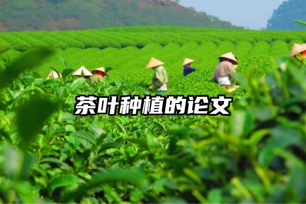 茶叶种植的论文