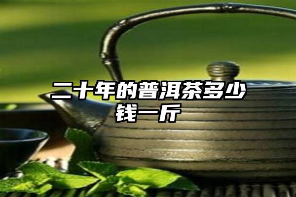 二十年的普洱茶多少钱一斤