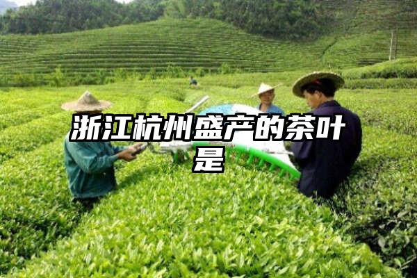 浙江杭州盛产的茶叶是