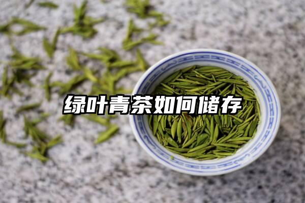 绿叶青茶如何储存