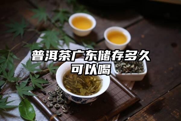 普洱茶广东储存多久可以喝