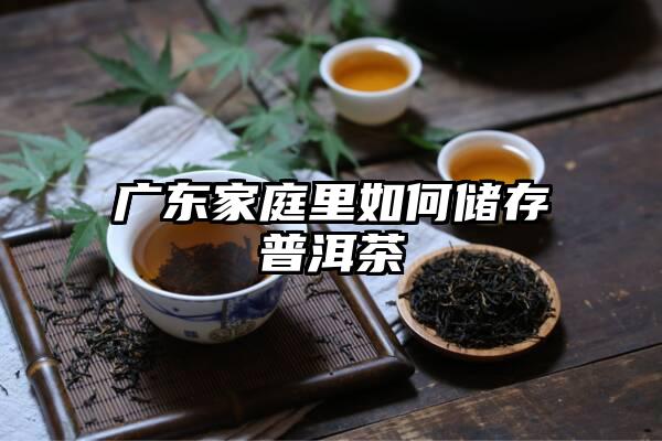 广东家庭里如何储存普洱茶