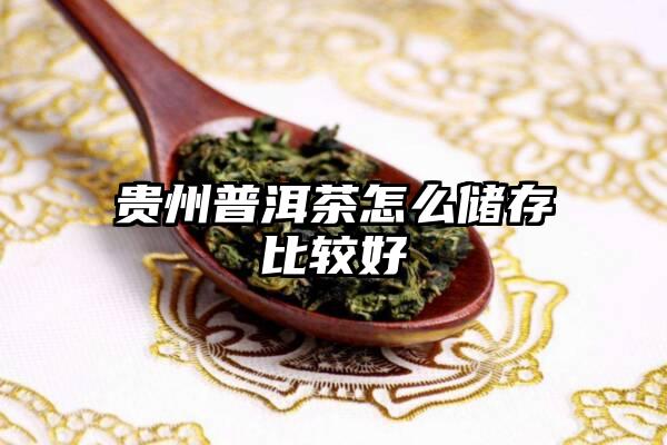 贵州普洱茶怎么储存比较好