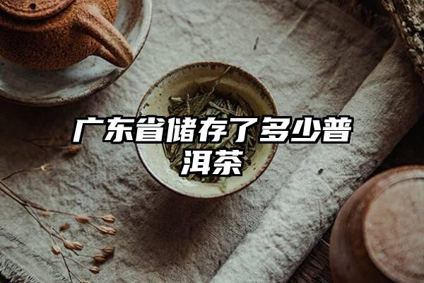 广东省储存了多少普洱茶