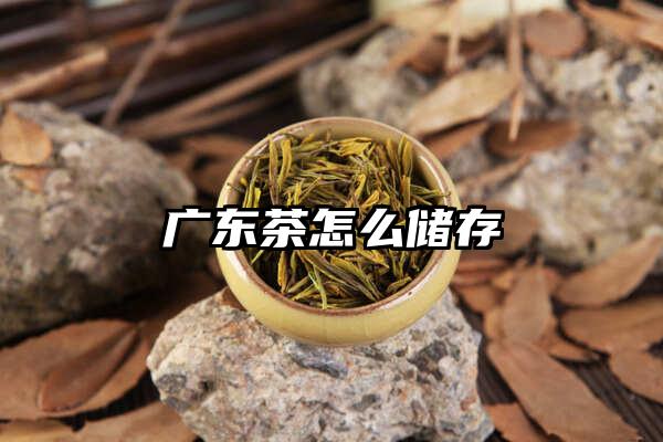 广东茶怎么储存