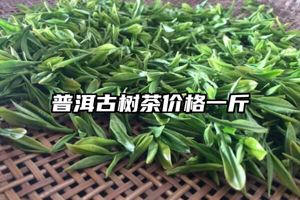 普洱古树茶价格一斤