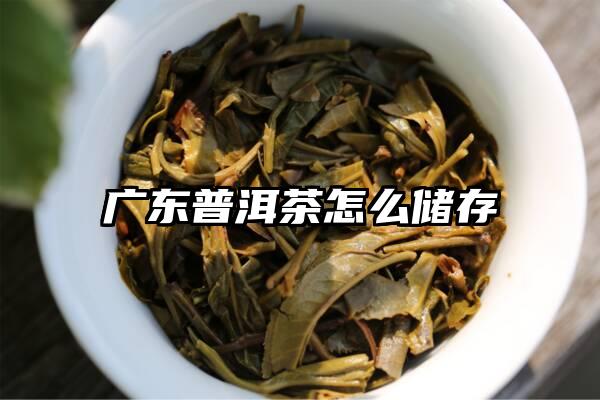广东普洱茶怎么储存