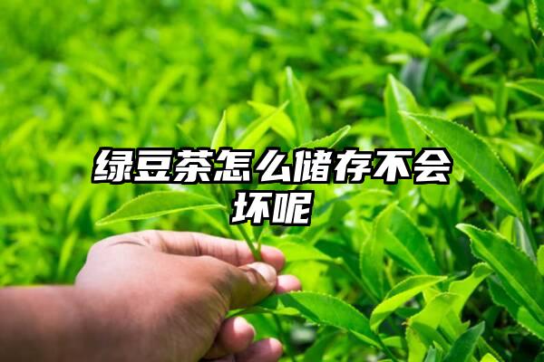绿豆茶怎么储存不会坏呢