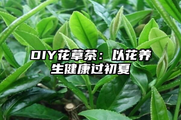 DIY花草茶：以花养生健康过初夏