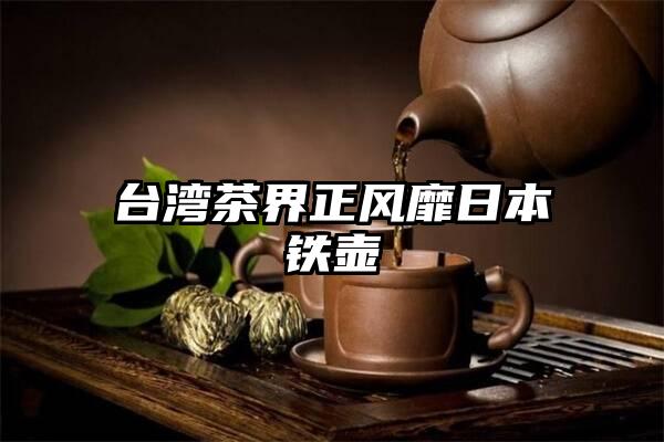 台湾茶界正风靡日本铁壶