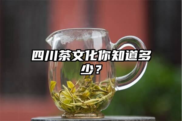 四川茶文化你知道多少？