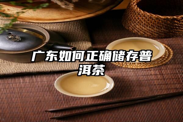 广东如何正确储存普洱茶