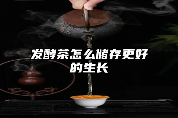 发酵茶怎么储存更好的生长