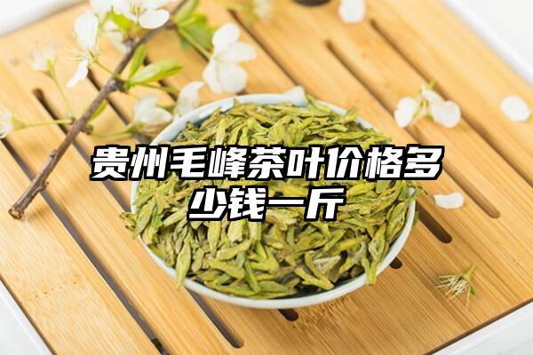贵州毛峰茶叶价格多少钱一斤