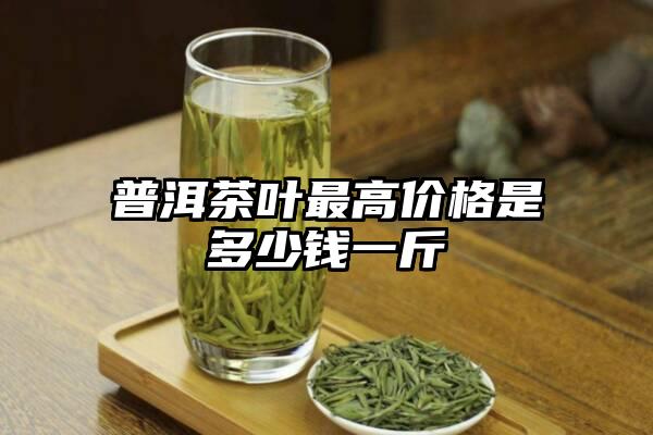 普洱茶叶最高价格是多少钱一斤