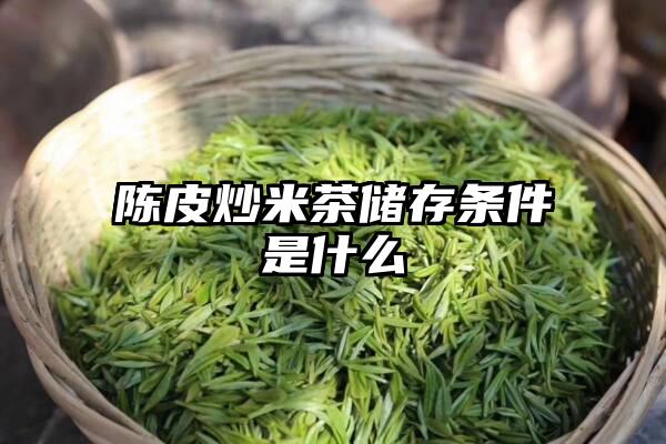 陈皮炒米茶储存条件是什么