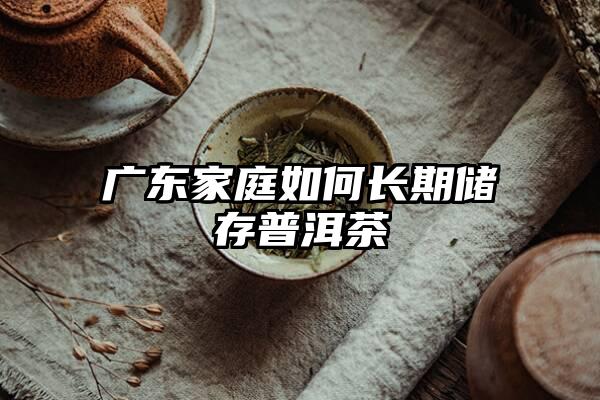 广东家庭如何长期储存普洱茶