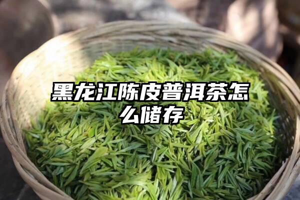 黑龙江陈皮普洱茶怎么储存
