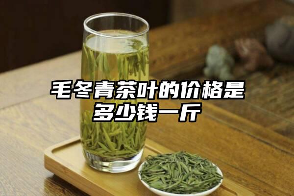 毛冬青茶叶的价格是多少钱一斤