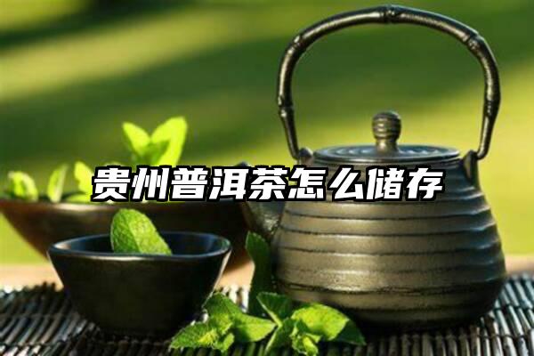 贵州普洱茶怎么储存