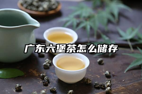 广东六堡茶怎么储存