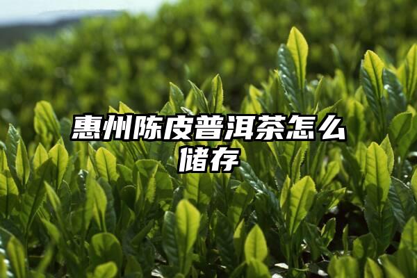 惠州陈皮普洱茶怎么储存