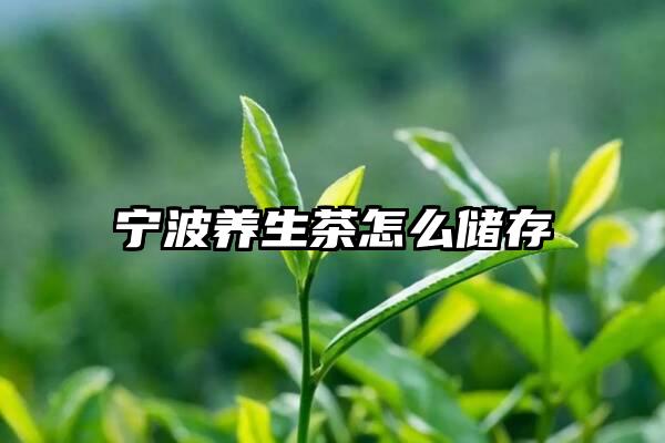 宁波养生茶怎么储存