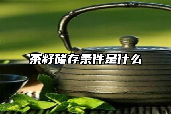 茶籽储存条件是什么