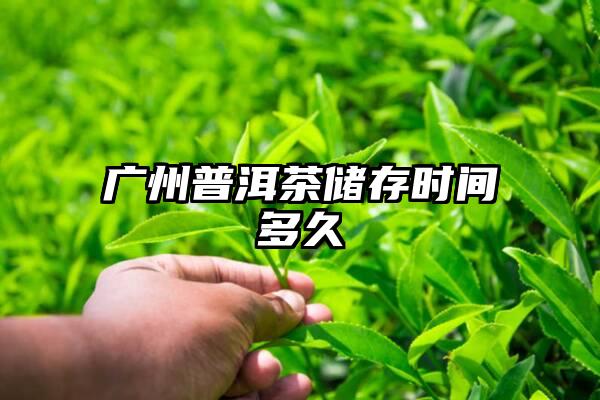广州普洱茶储存时间多久