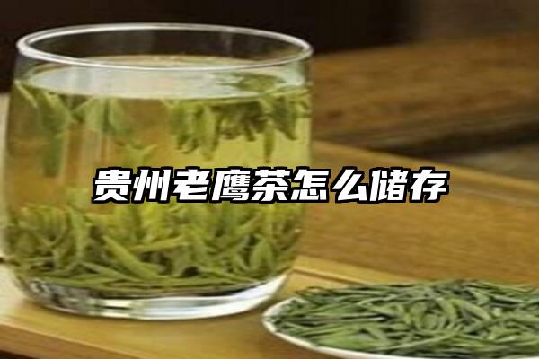 贵州老鹰茶怎么储存