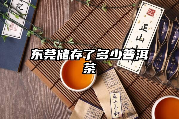 东莞储存了多少普洱茶