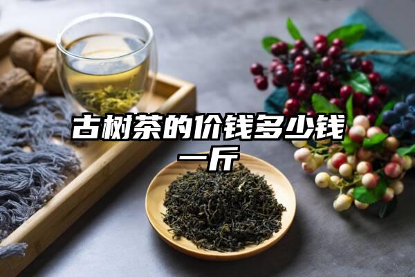 古树茶的价钱多少钱一斤