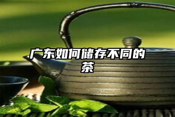 广东如何储存不同的茶