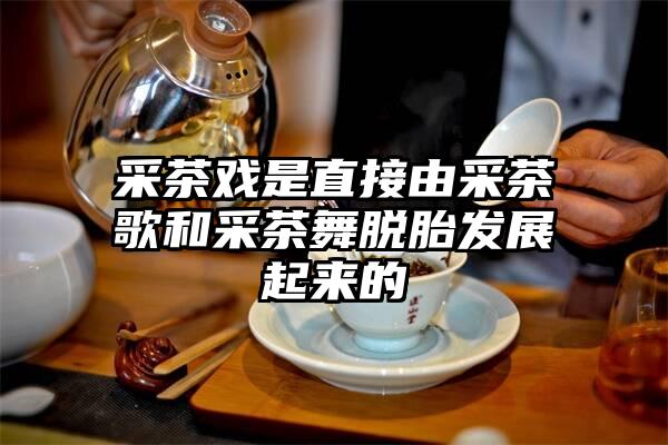 采茶戏是直接由采茶歌和采茶舞脱胎发展起来的
