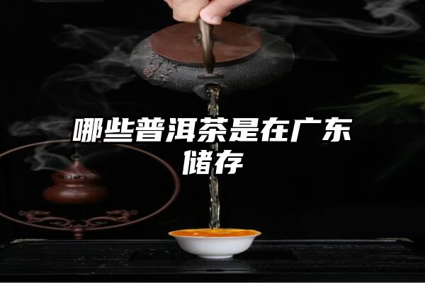 哪些普洱茶是在广东储存
