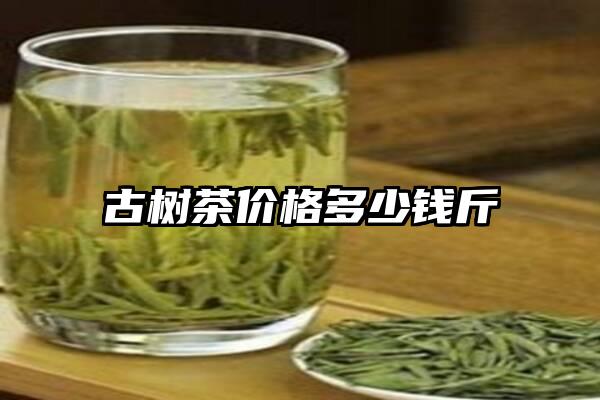 古树茶价格多少钱斤