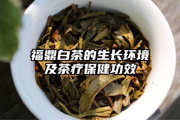 福鼎白茶的生长环境及茶疗保健功效