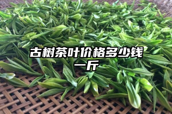 古树茶叶价格多少钱一斤