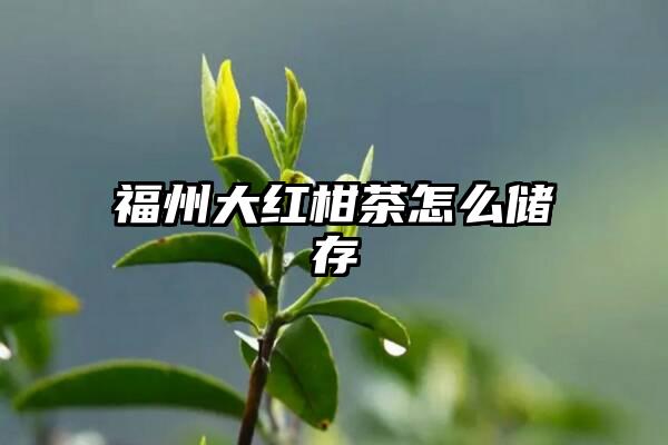 福州大红柑茶怎么储存