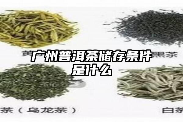 广州普洱茶储存条件是什么