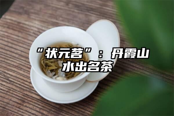 “状元茗”：丹霞山水出名茶